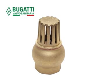 VÁLVULA CHECK CANASTILLA 1"